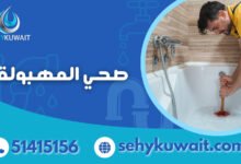 صحي المهبولة